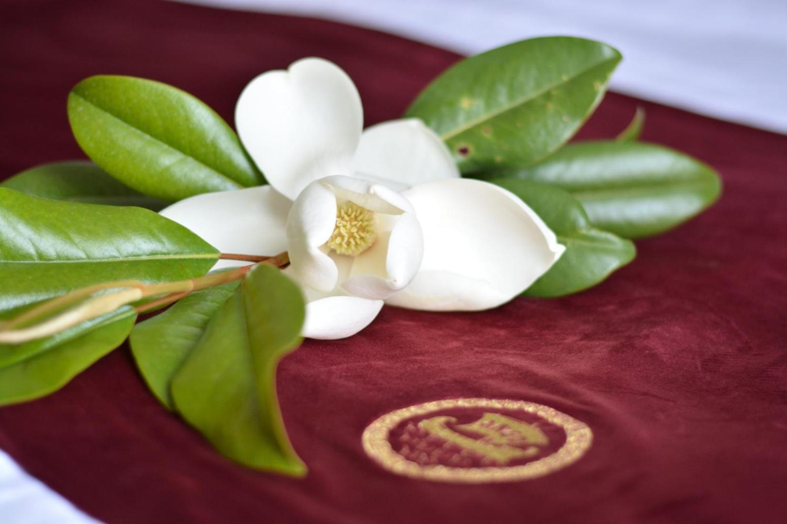 Boutique Hotel Argo Kutaisi Dış mekan fotoğraf